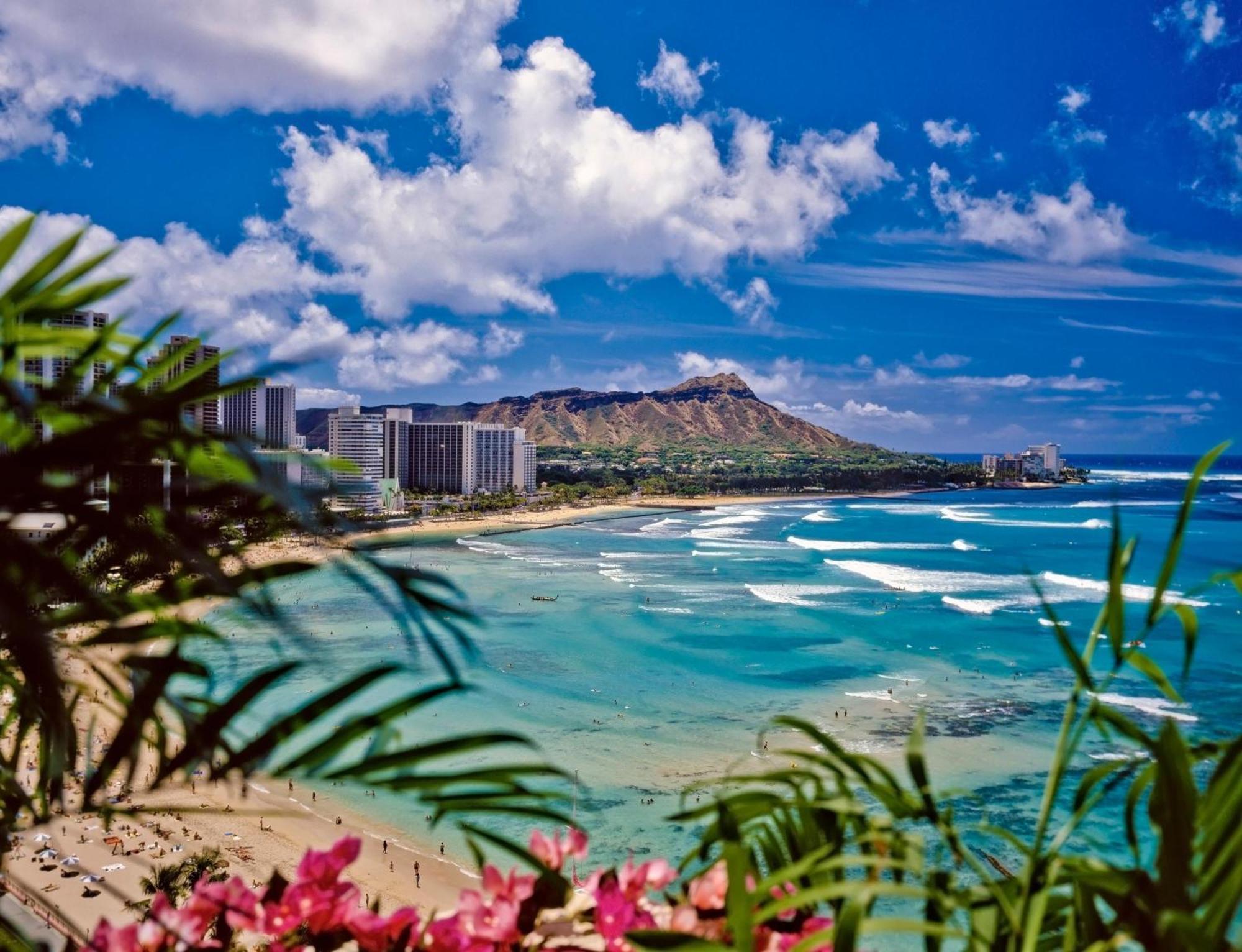 Breezy Kalakauan Apartment Honolulu Exterior foto